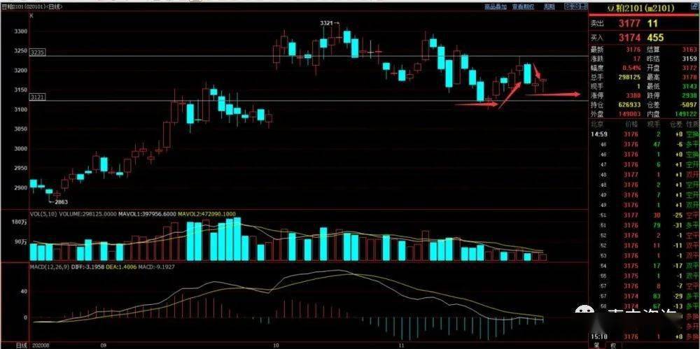 今日豆粕價(jià)格最新行情深度解析