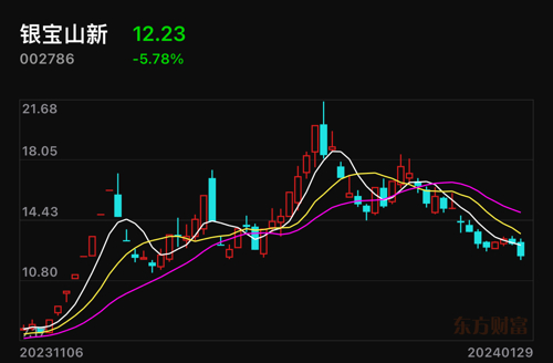 銀寶山新最新消息全面解析