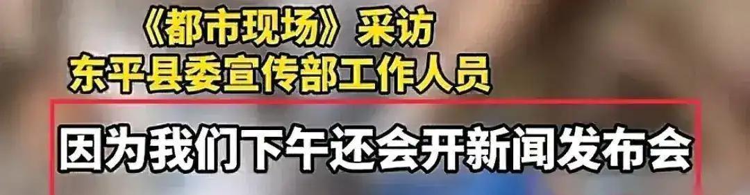 東平交通事故最新消息