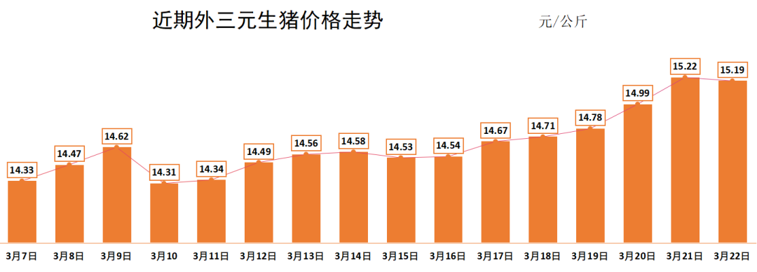 今日豬價(jià)最新走勢(shì)價(jià)格分析