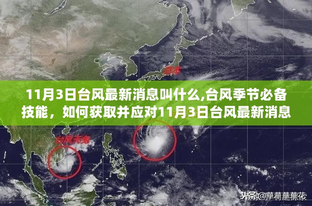 香港天氣臺(tái)風(fēng)最新消息，臺(tái)風(fēng)動(dòng)態(tài)與應(yīng)對(duì)建議