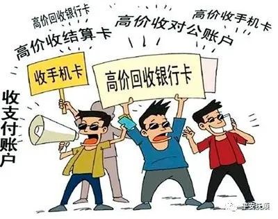 徐守盛犯錯(cuò)誤最新消息及其影響分析