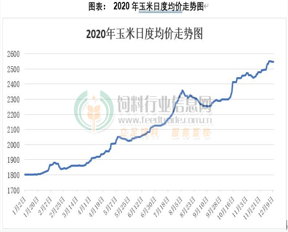 玉米今日價(jià)格最新行情分析