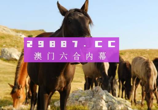 管家婆澳門一肖一碼100精準(zhǔn)2023,資源驗(yàn)證解答落實(shí)_Deluxe62.511