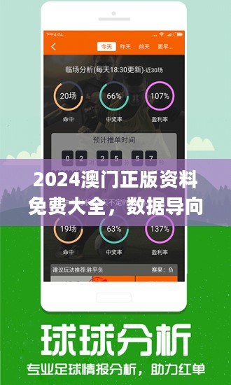 2024澳門精準正版資料,穩(wěn)定性方案解析_半成制16.894