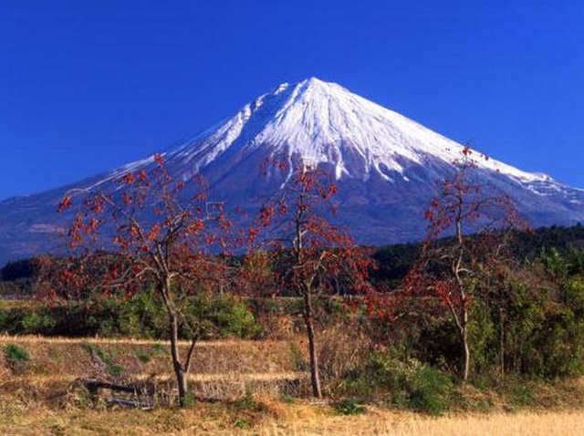 富士山最新消息今天，探索與發(fā)現(xiàn)