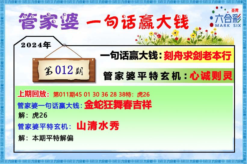 管家婆一碼中一肖2024,經(jīng)典解答解釋落實(shí)_經(jīng)典版24.995