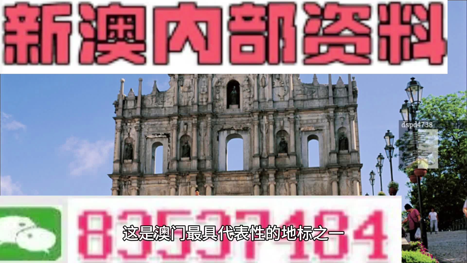 新澳2024年精準(zhǔn)資料期期,案例分享解答落實_活力版98.782