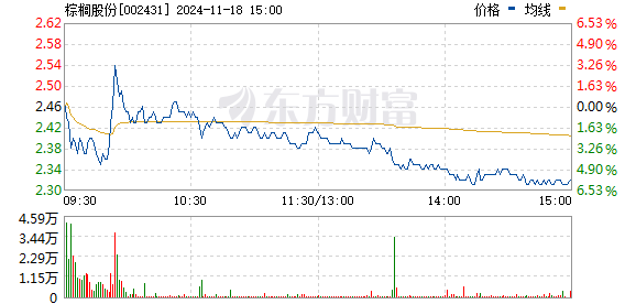 棕櫚股份最新消息綜述