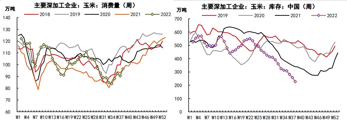 玉米最新消息，產(chǎn)業(yè)動態(tài)與市場展望