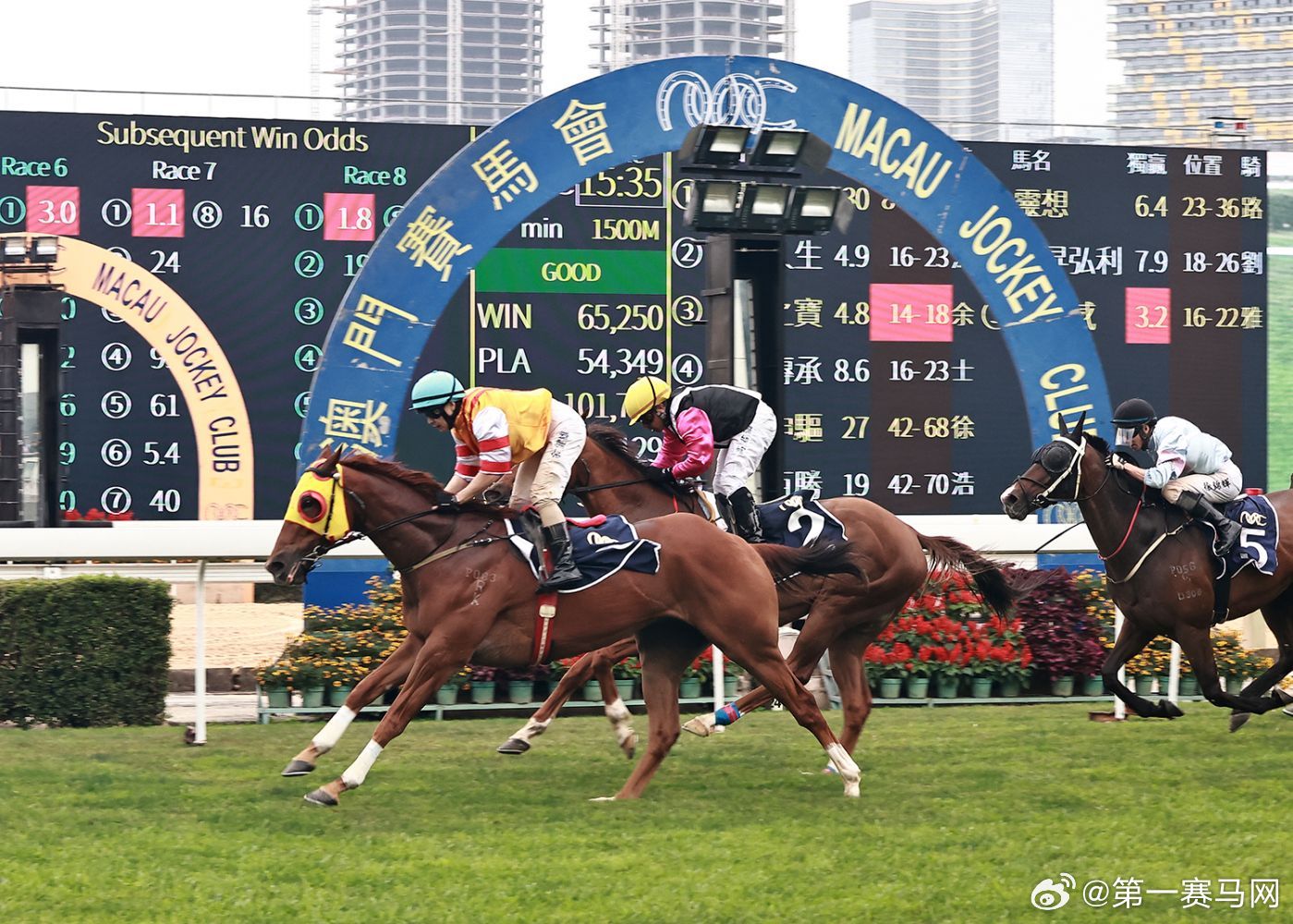 看香港正版精準(zhǔn)特馬資料,精確數(shù)據(jù)解析說明_資深版26.382