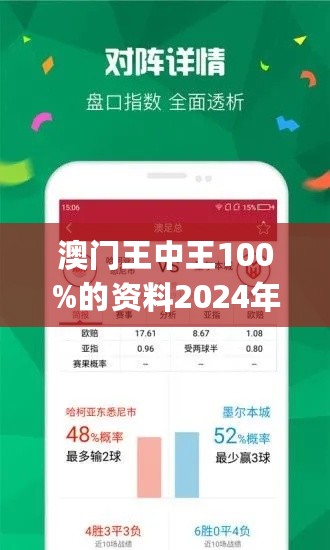 2024澳門王中王100%期期中,系統(tǒng)化研究解析方案_專用集62.365