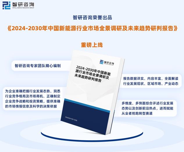 新澳2024年正版資料,供應商評估流程_理財版51.38