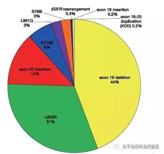 2024新澳精準(zhǔn)資料免費(fèi),深入解析設(shè)計(jì)數(shù)據(jù)_協(xié)作型73.964