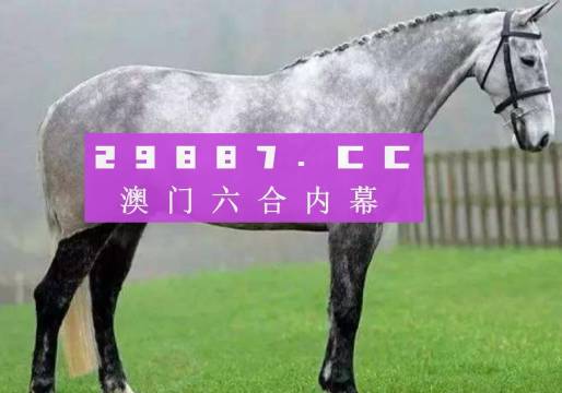 2024今晚澳門特馬開什么碼,精細(xì)分析解釋定義_活動(dòng)版17.953