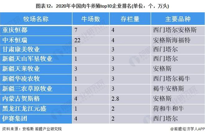 女網(wǎng)世界排名最新排名，競爭格局與未來展望