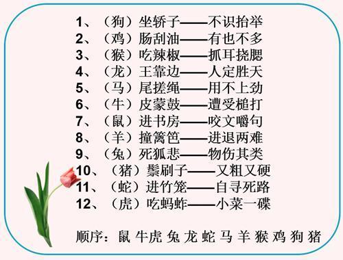 澳門(mén)正版資料大全與經(jīng)典歇后語(yǔ)的文化魅力