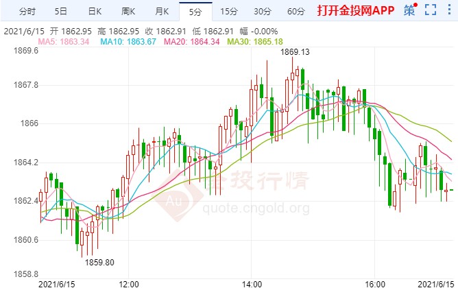 今日糧價玉米最新消息，市場走勢分析與展望