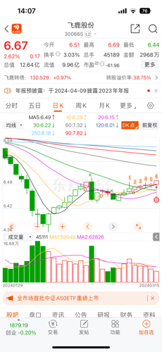 飛鹿股份最新消息全面解讀