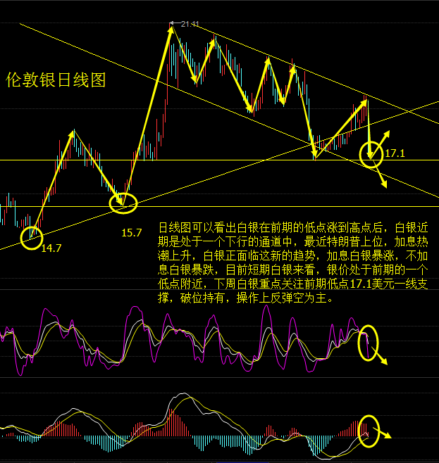 上海白銀最新價(jià)格，市場(chǎng)動(dòng)態(tài)、影響因素及未來(lái)展望