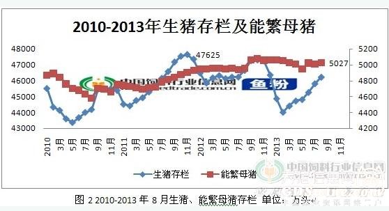 豬市行情最新動(dòng)態(tài)，市場(chǎng)走勢(shì)分析與展望