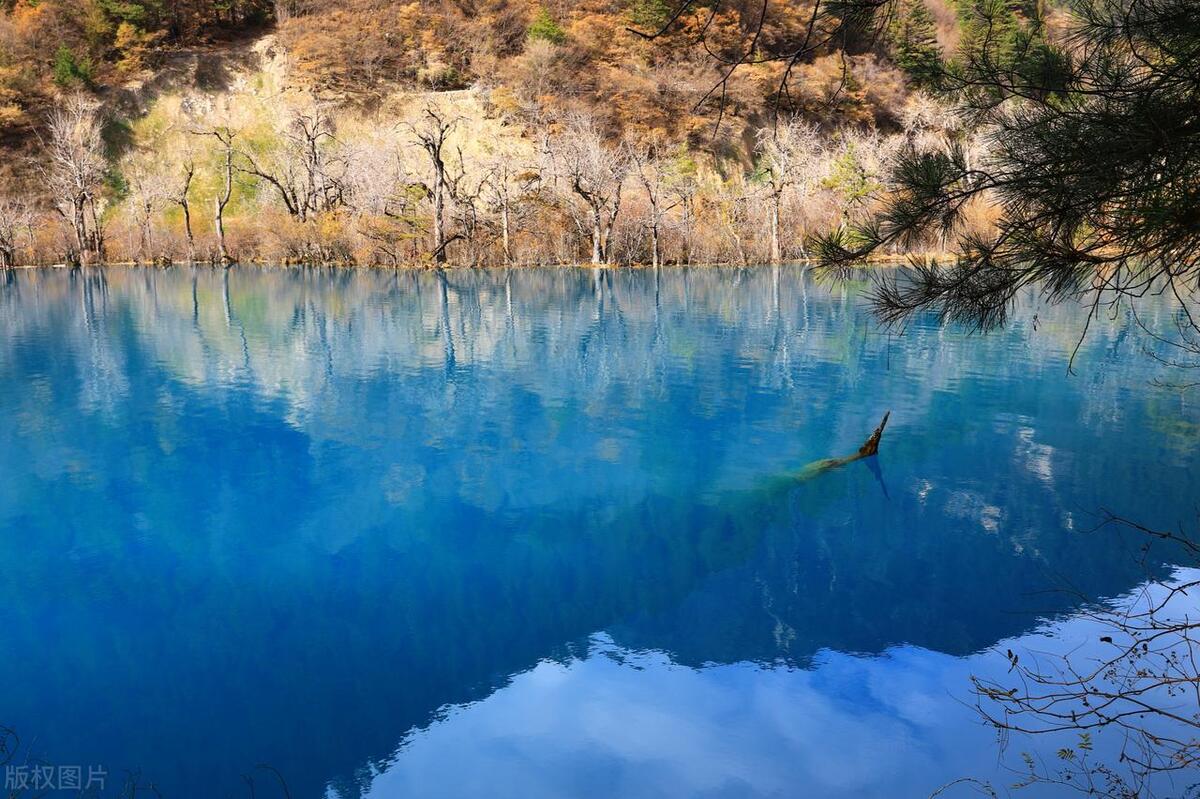 九寨溝最新旅游指南與美景分享