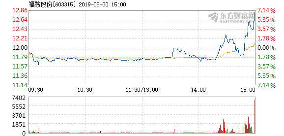 福鞍股份最新消息全面解讀