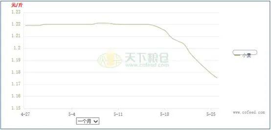 周口小麥價格最新行情分析