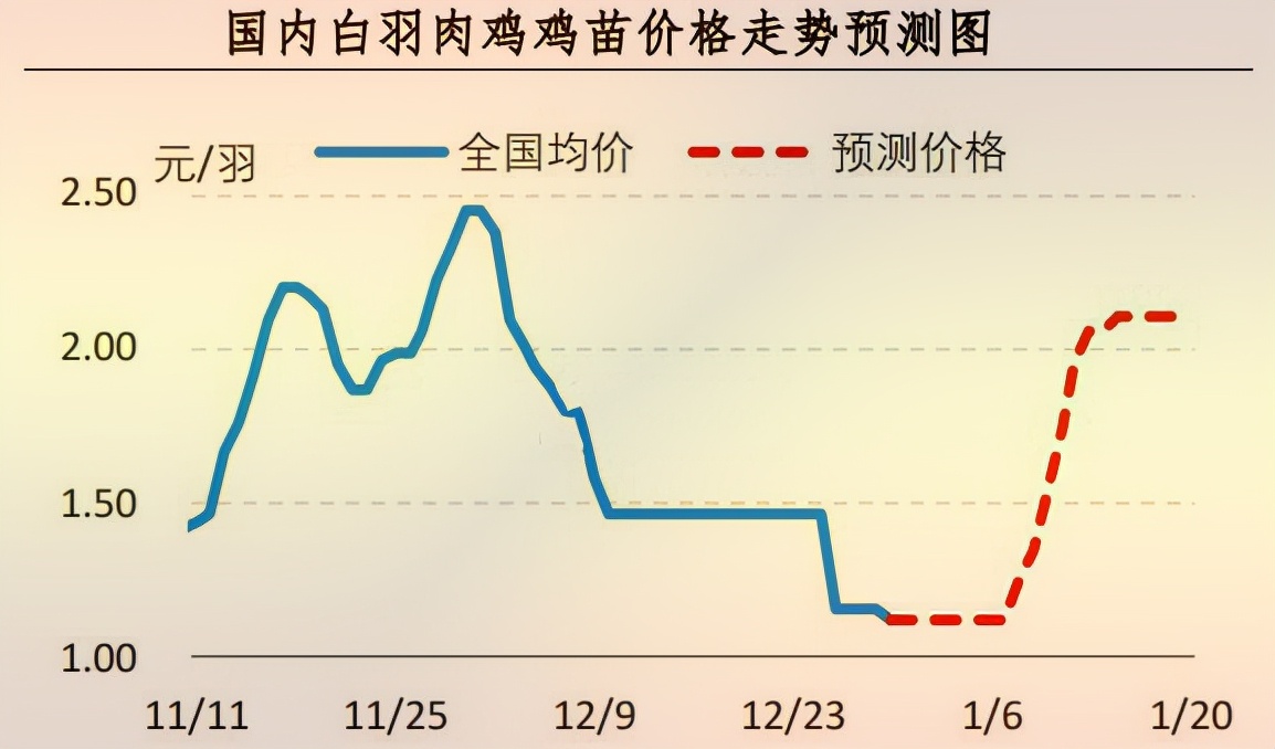 全國(guó)雞苗價(jià)格最新行情分析