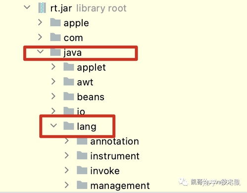 NetKeeper最新版，引領(lǐng)網(wǎng)絡(luò)管理的革新之路