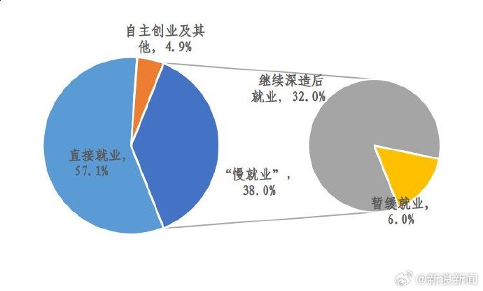 最新自主擇業(yè)漲工資，機(jī)遇與挑戰(zhàn)并存