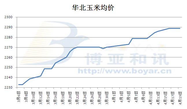 河北玉米最新價(jià)格動(dòng)態(tài)分析