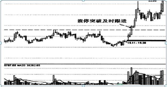 任子行最新消息全面解析